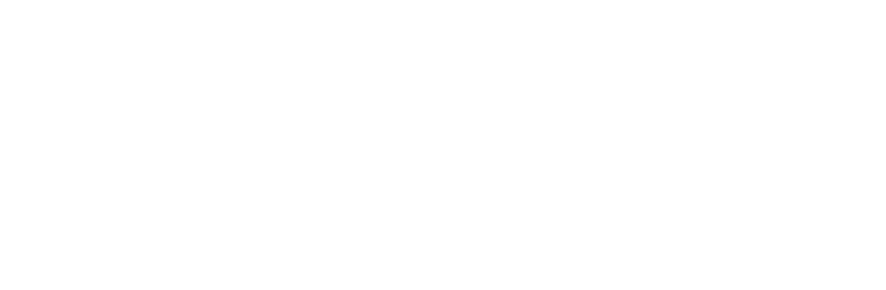 VVSK
